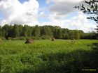 Meadow in Valka district