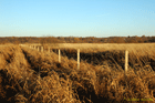 Fence for pasture-land at Lake Burtnieks